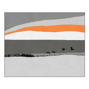 Birds Over Water