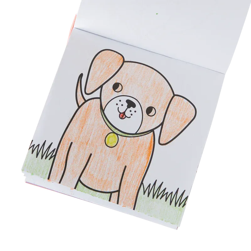 Carry Along Crayon & Coloring Book Kit - Pet Pals