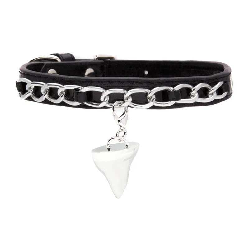 Charm Collar