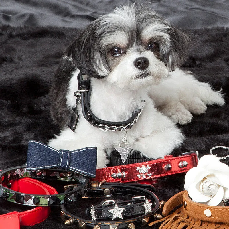 Charm Collar