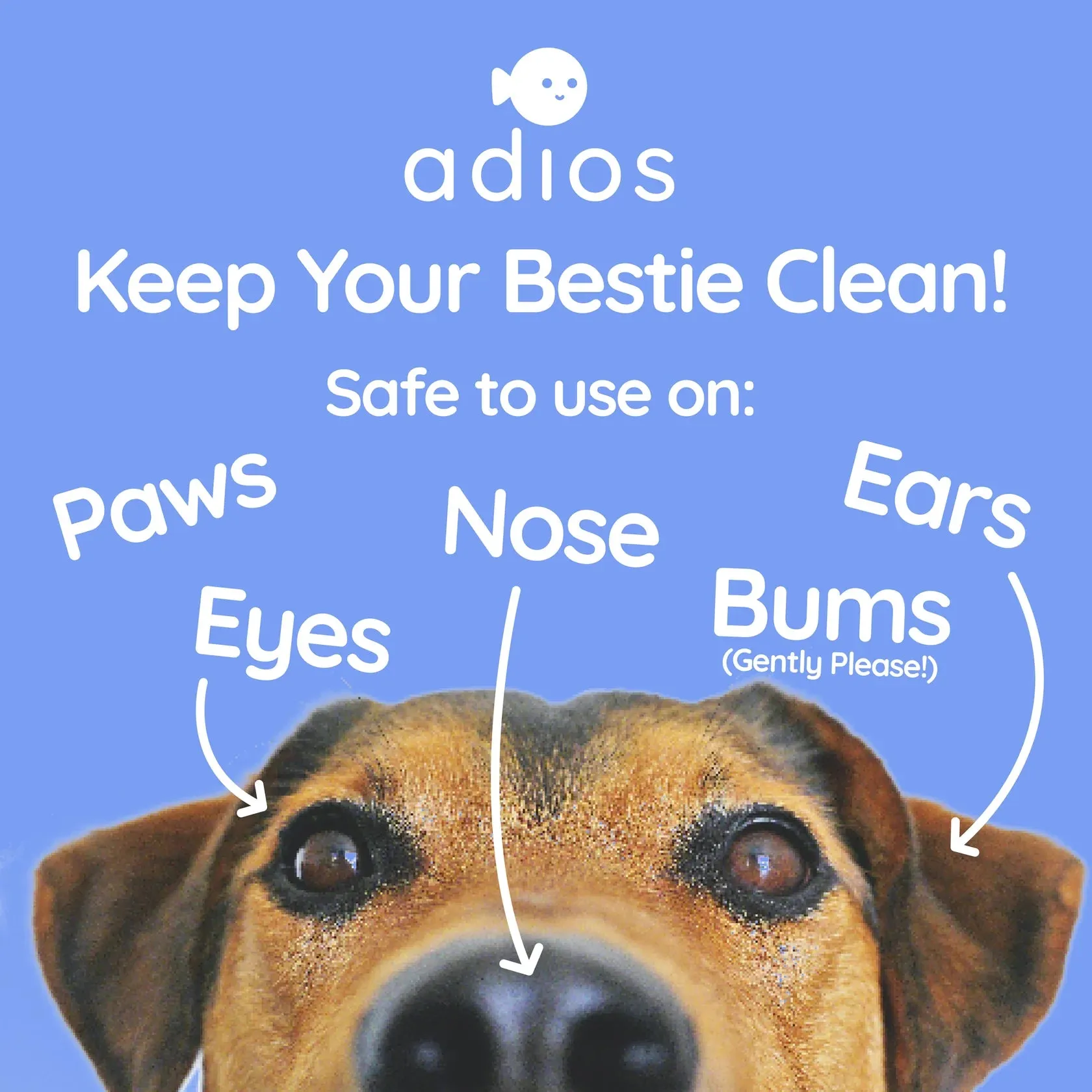 Compostable Pet Wipes – Plant-Based, Natural & Safe for Pets by Adios
