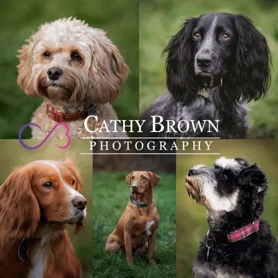 Fur Babies Photoshop Actions