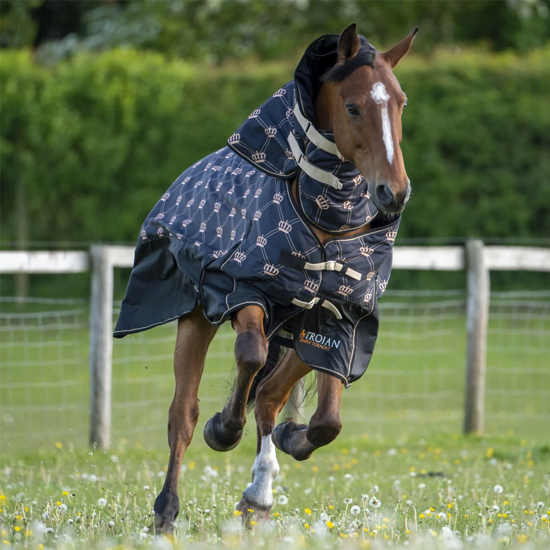 Gallop Equestrian Trojan Monarch 350 Turnout