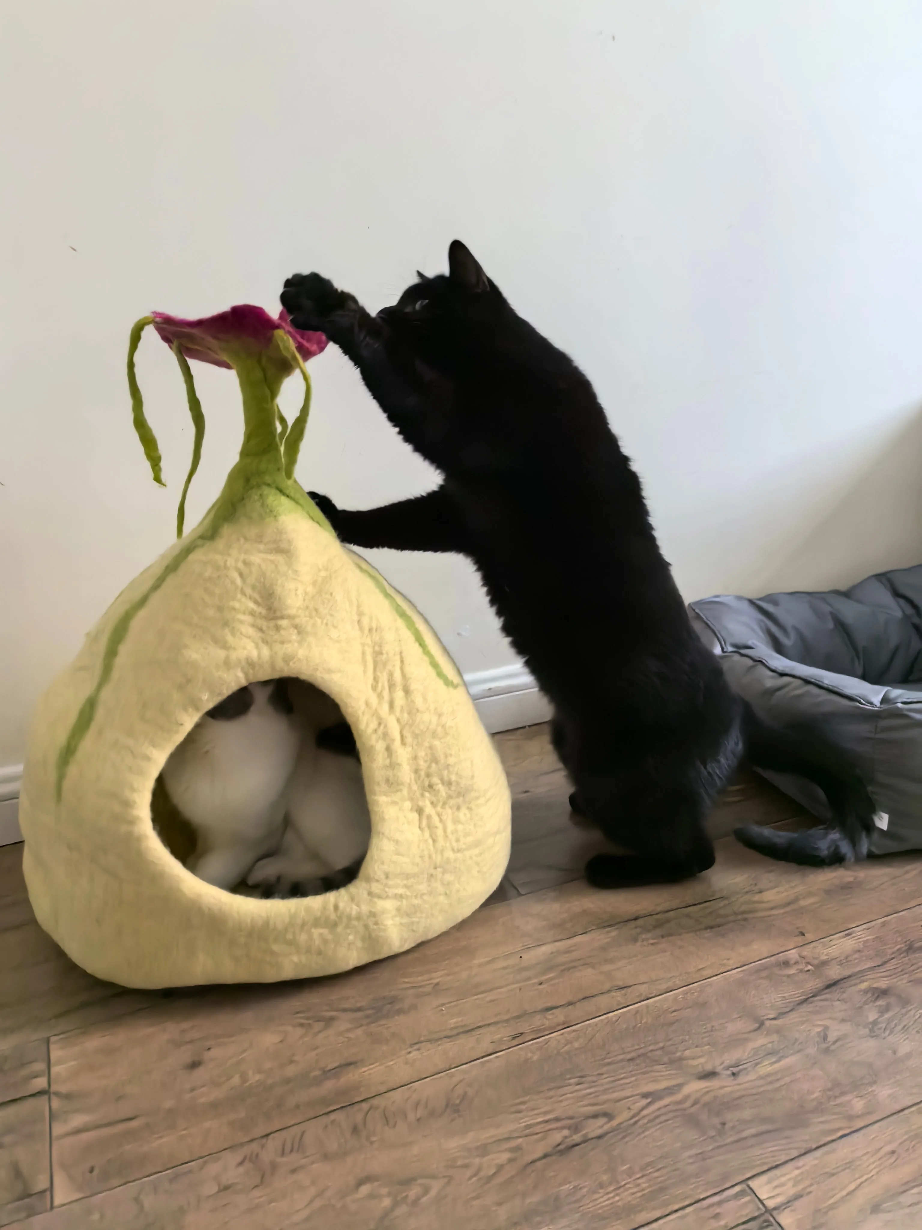 Handmade Wool Cat Cave Cat Bed Flower Decoration