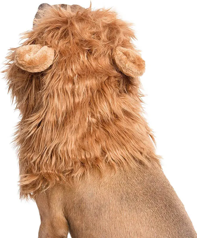 Lion Mane Costume for Pets
