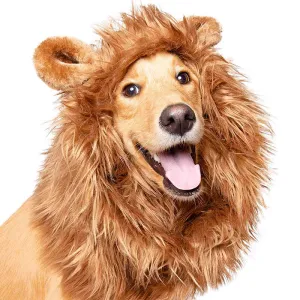 Lion Mane Costume for Pets