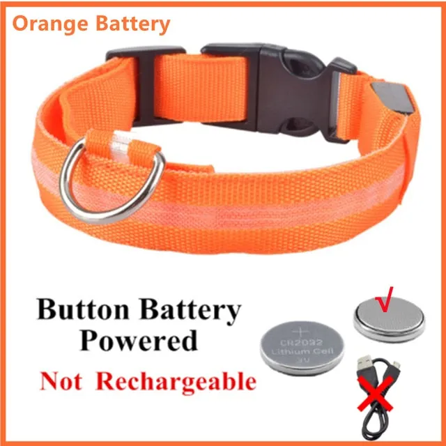 Luminous Dog Collar