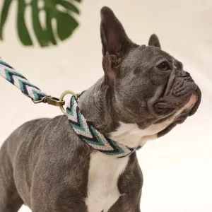 Marino Set - Collar & Leash