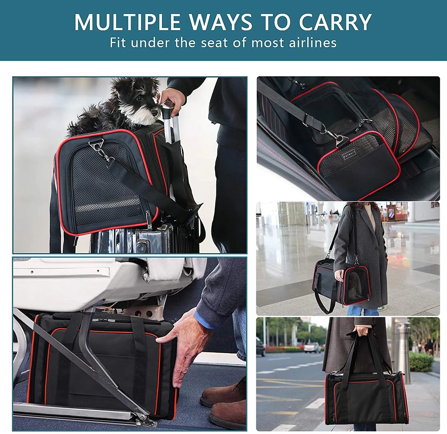 NEW Petsfit Expandable Portable Soft Sided Pet Carrier,Airline Approved, Washable with Removable Soft Plush mat and Pockets,Locking Safety Zippers! Sz L!