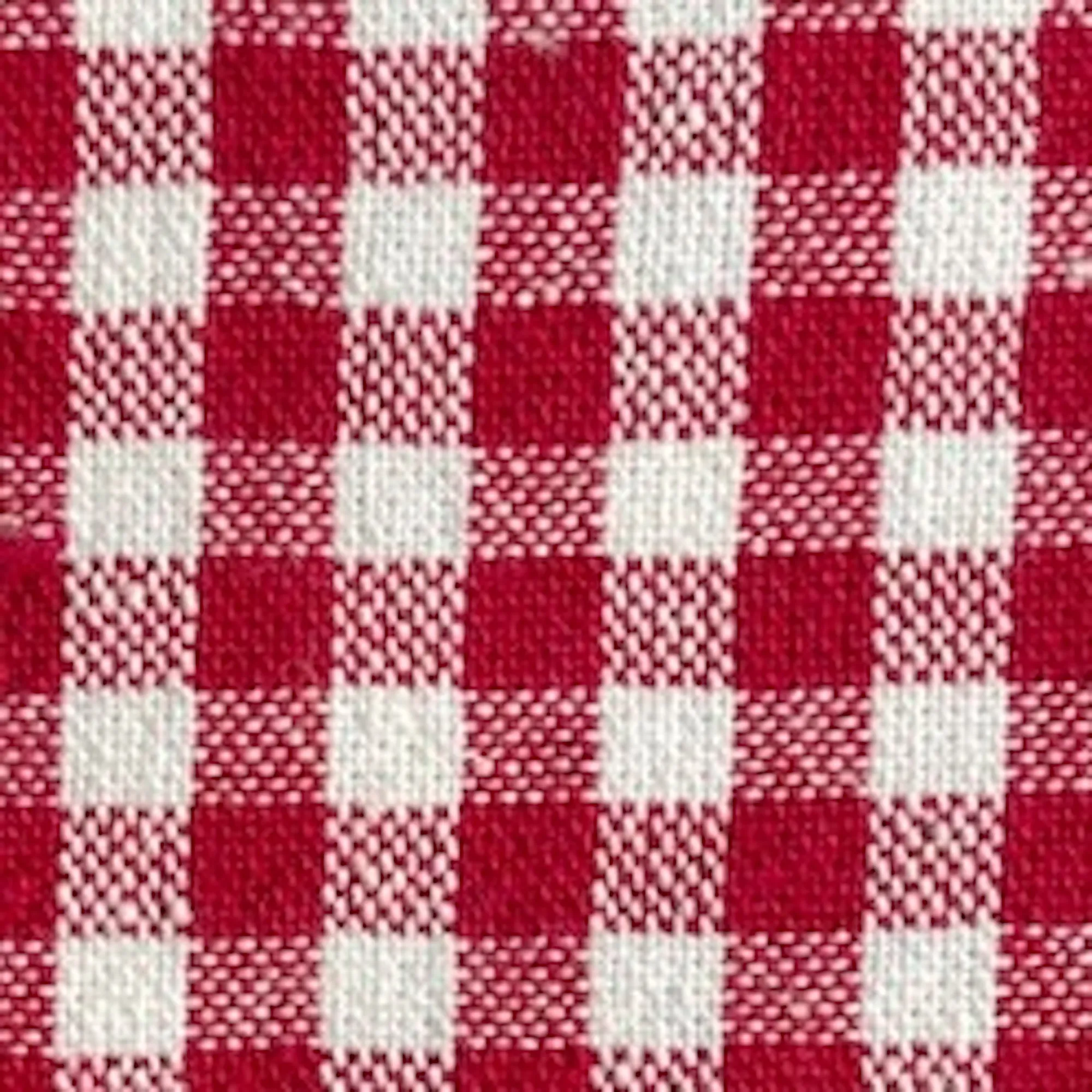 Red Gingham Collar Walk Set