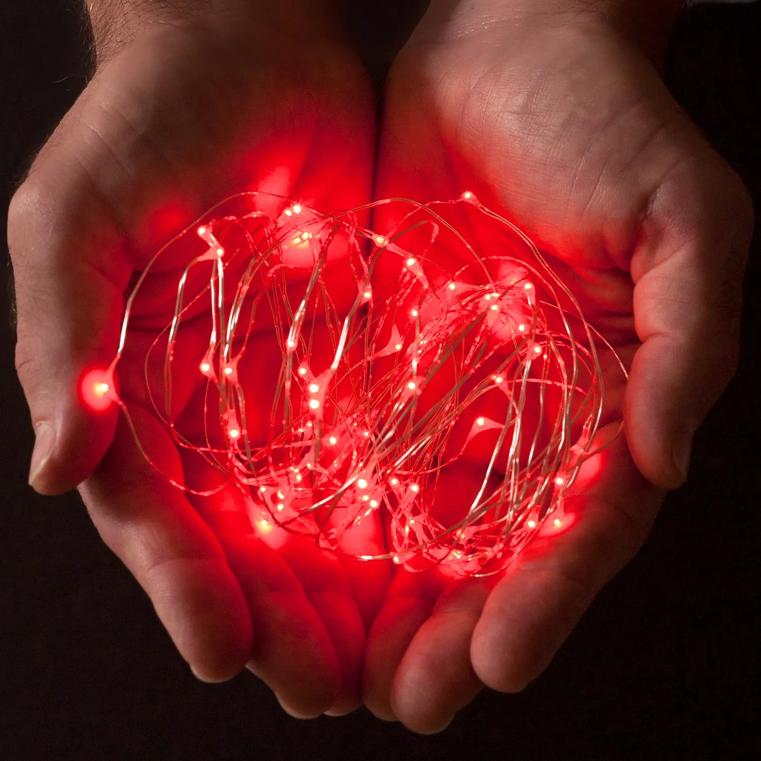 RTGS 60 Red Color LED String Lights Batteries Operated on 20 Feet Long Silver Color Wire with Black Waterproof Batteries Box and Timer