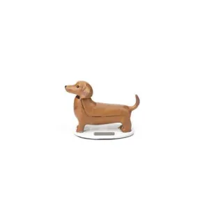 Solar Daschund - Boudewijn
