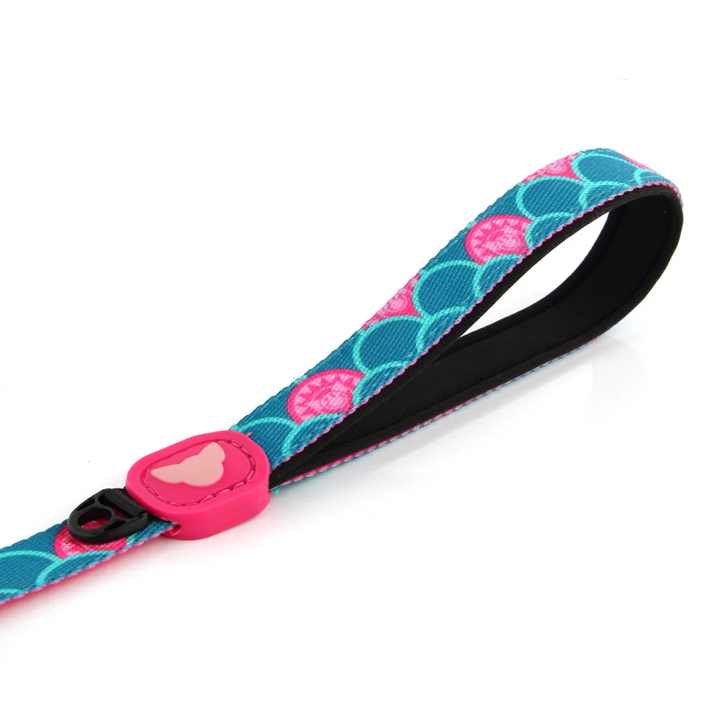 Sunshine Glow Dog Leash | "You are my Sunshine" Collection
