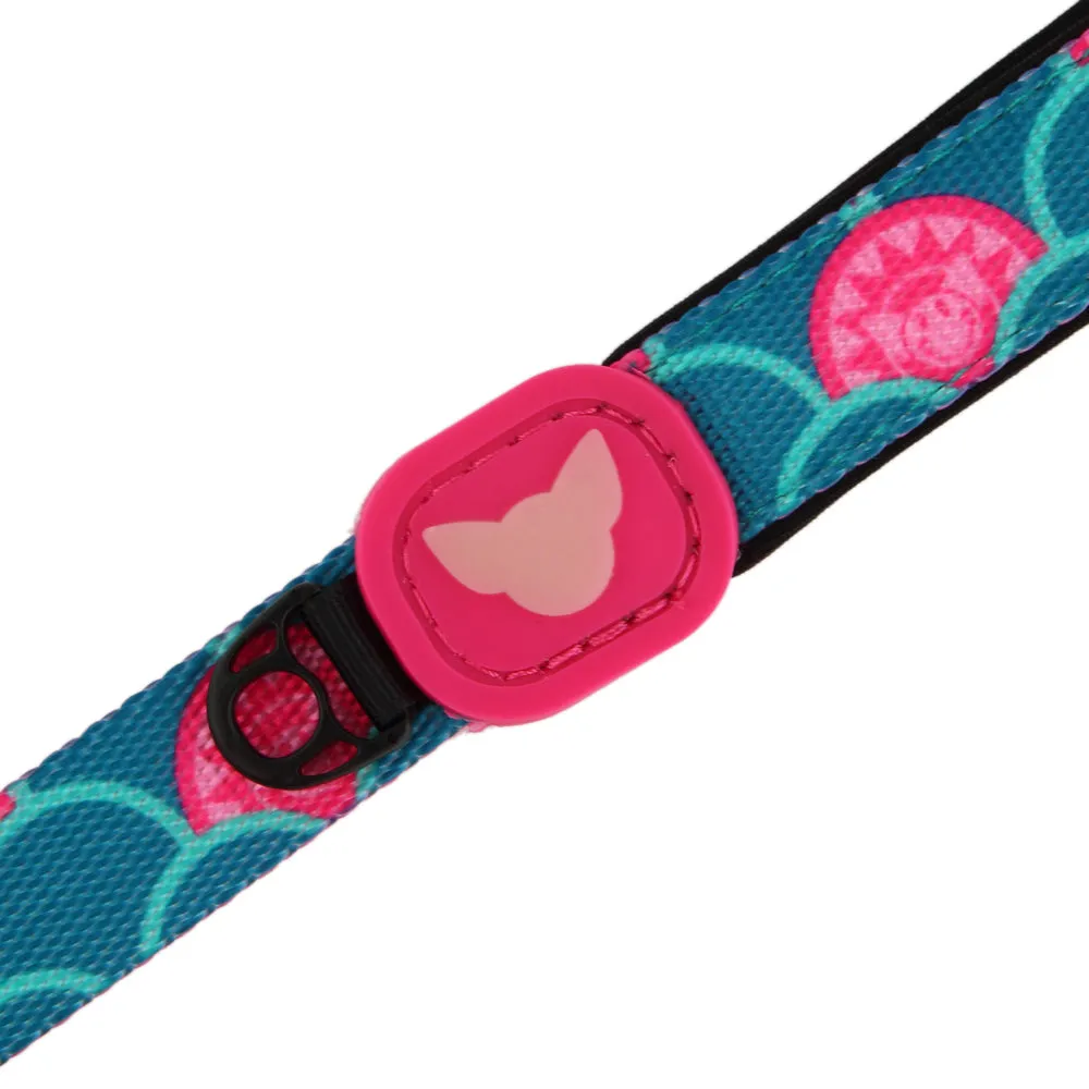 Sunshine Glow Dog Leash | "You are my Sunshine" Collection