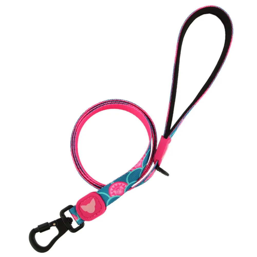 Sunshine Glow Dog Leash | "You are my Sunshine" Collection