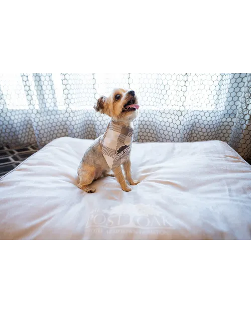 THE POST OAK | Pet Set