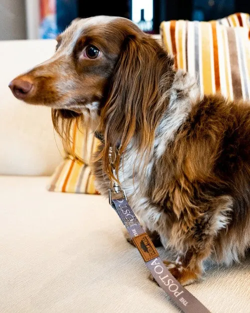 THE POST OAK | Pet Set