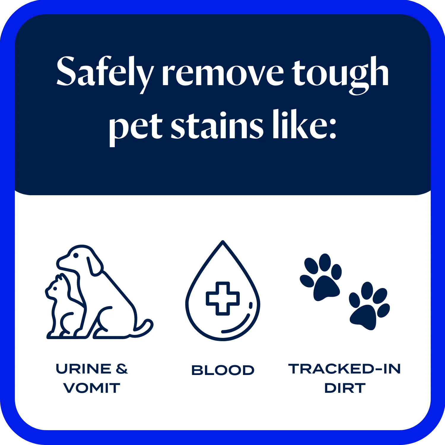 Wash & Remove Pro Oxy Pet Urine Eliminator Formula (750ml)
